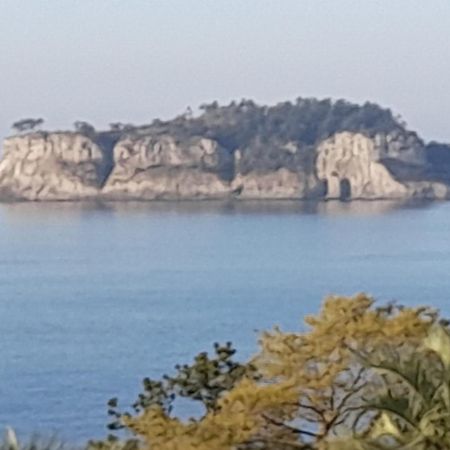 Haeansung Pension ซอกวีโพ ภายนอก รูปภาพ