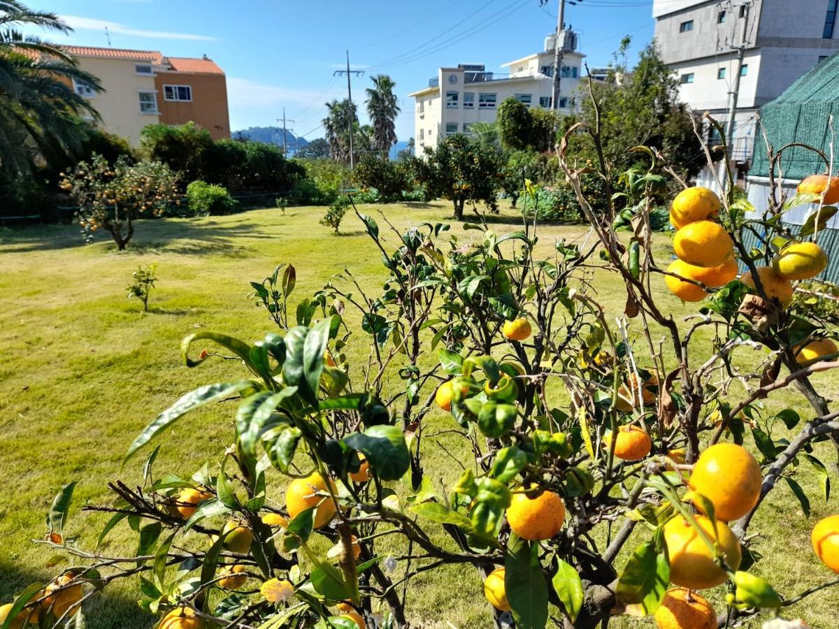 Haeansung Pension ซอกวีโพ ภายนอก รูปภาพ