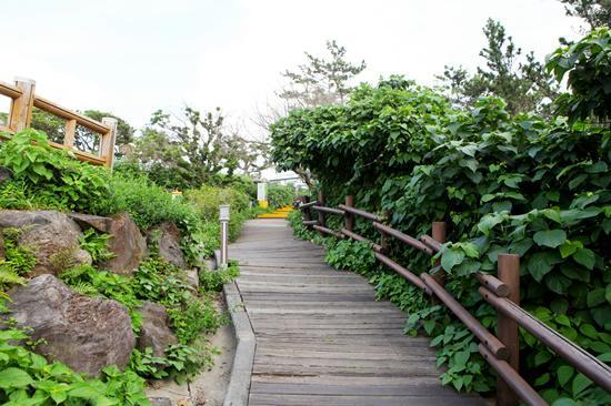 Haeansung Pension ซอกวีโพ ภายนอก รูปภาพ